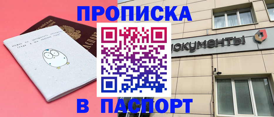 временная регистрация для всех в Амурской области